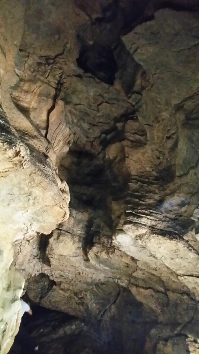 范文芳挺孕肚頒獎 吳尊求當鄭惠玉親家